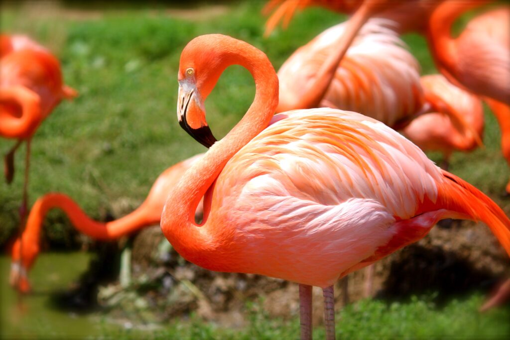 Miami Beach Botanical Garden