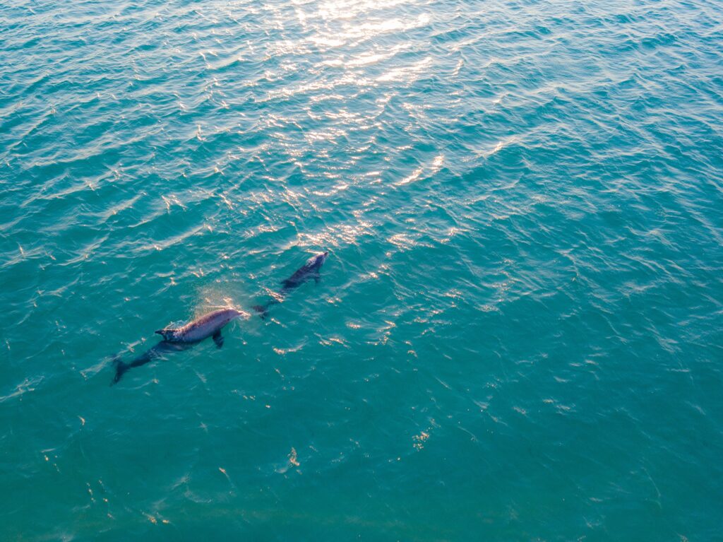 Miami Seaquarium