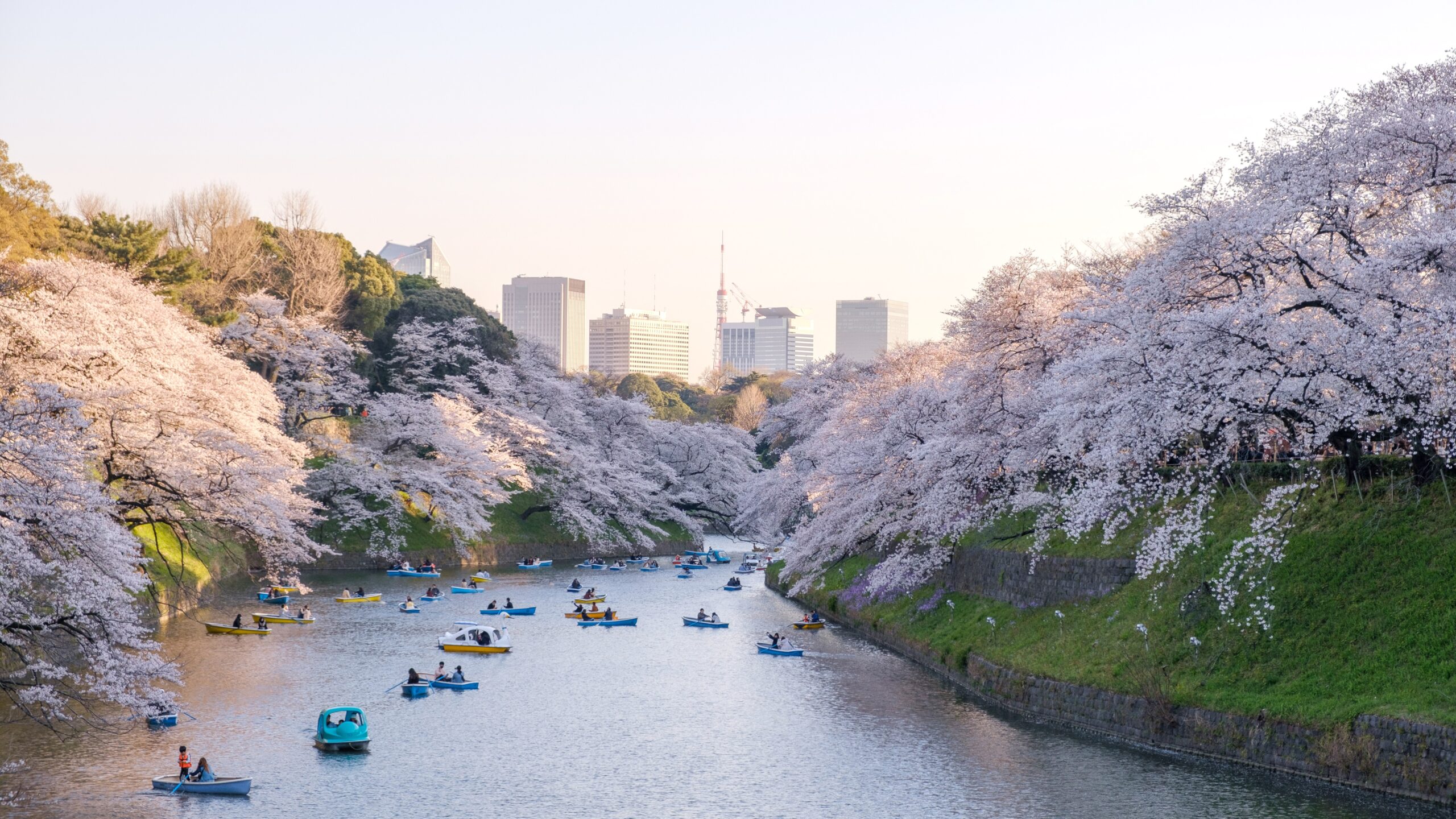 Must-Visit Places in Tokyo